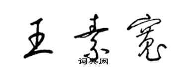 梁錦英王素寬草書個性簽名怎么寫