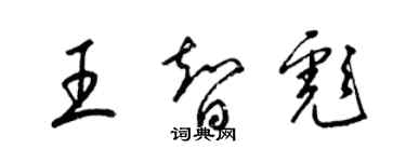 梁錦英王智彪草書個性簽名怎么寫