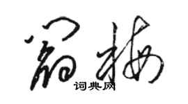 駱恆光閻梅草書個性簽名怎么寫