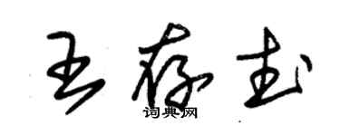 朱錫榮王存武草書個性簽名怎么寫