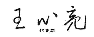 駱恆光王心亮草書個性簽名怎么寫