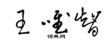 駱恆光王唯智草書個性簽名怎么寫