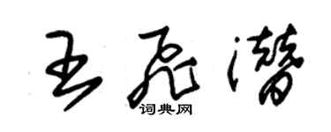 朱錫榮王飛潛草書個性簽名怎么寫
