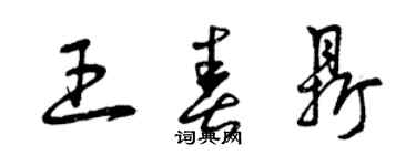 曾慶福王春鼎草書個性簽名怎么寫