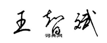 梁錦英王智斌草書個性簽名怎么寫