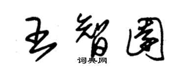 朱錫榮王智園草書個性簽名怎么寫