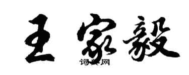 胡問遂王家毅行書個性簽名怎么寫