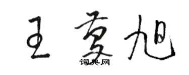 駱恆光王慶旭草書個性簽名怎么寫