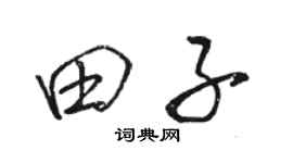 駱恆光田子行書個性簽名怎么寫