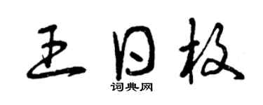 曾慶福王日枚草書個性簽名怎么寫
