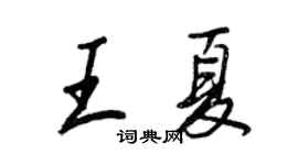 王正良王夏行書個性簽名怎么寫