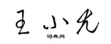 駱恆光王小尤草書個性簽名怎么寫