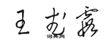 駱恆光王武霞草書個性簽名怎么寫