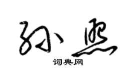 梁錦英孫照草書個性簽名怎么寫