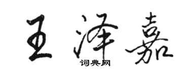 駱恆光王澤嘉行書個性簽名怎么寫