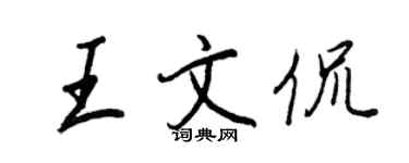 王正良王文侃行書個性簽名怎么寫