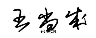 朱錫榮王尚成草書個性簽名怎么寫