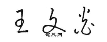 駱恆光王文炎草書個性簽名怎么寫