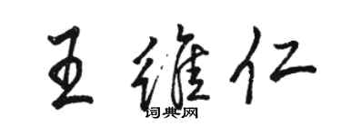 駱恆光王維仁行書個性簽名怎么寫