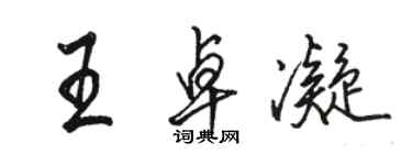 駱恆光王卓凝行書個性簽名怎么寫