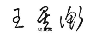 駱恆光王星衡草書個性簽名怎么寫