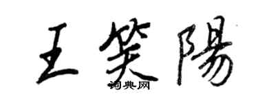 王正良王笑陽行書個性簽名怎么寫