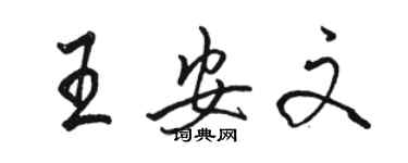 駱恆光王安文行書個性簽名怎么寫