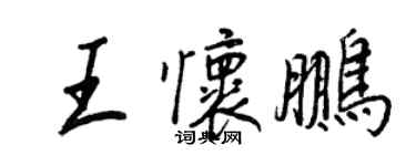 王正良王懷鵬行書個性簽名怎么寫