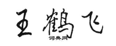 駱恆光王鶴飛行書個性簽名怎么寫