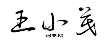 曾慶福王小茂草書個性簽名怎么寫