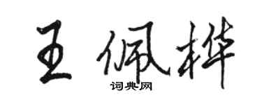 駱恆光王佩樺行書個性簽名怎么寫