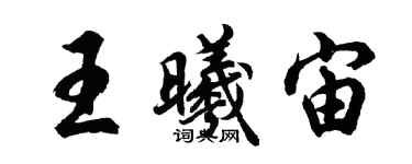 胡問遂王曦宙行書個性簽名怎么寫