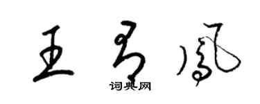 梁錦英王有鳳草書個性簽名怎么寫