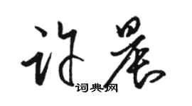 駱恆光許晨草書個性簽名怎么寫