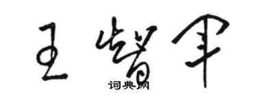 駱恆光王智軍草書個性簽名怎么寫