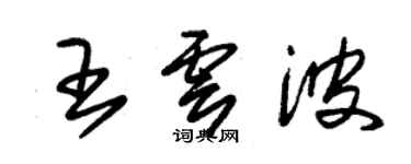 朱錫榮王雲波草書個性簽名怎么寫