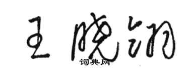 駱恆光王曉翎草書個性簽名怎么寫