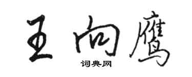 駱恆光王向鷹行書個性簽名怎么寫