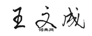 駱恆光王文成行書個性簽名怎么寫