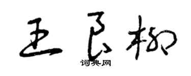 曾慶福王良柳草書個性簽名怎么寫