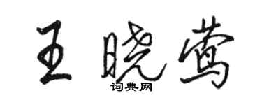 駱恆光王曉鶯行書個性簽名怎么寫