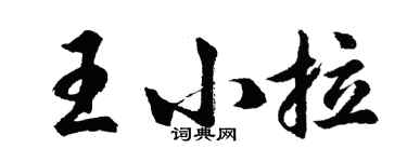 胡問遂王小拉行書個性簽名怎么寫