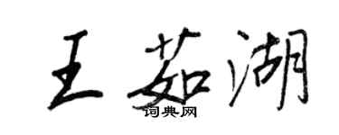 王正良王茹湖行書個性簽名怎么寫