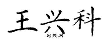 丁謙王興科楷書個性簽名怎么寫