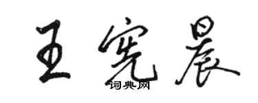 駱恆光王憲晨行書個性簽名怎么寫