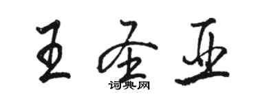 駱恆光王聖亞行書個性簽名怎么寫