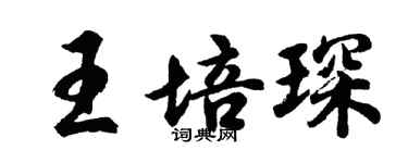 胡問遂王培琛行書個性簽名怎么寫