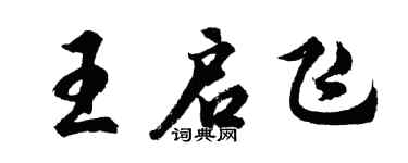 胡問遂王啟飛行書個性簽名怎么寫