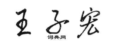 駱恆光王子宏行書個性簽名怎么寫