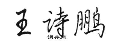 駱恆光王詩鵬行書個性簽名怎么寫